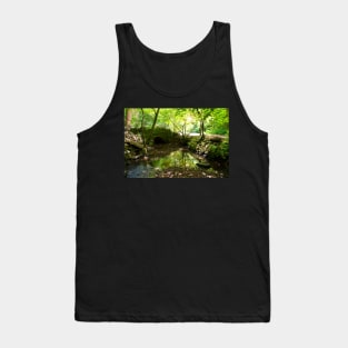 Blaise Castle bridge Tank Top